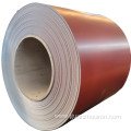 Dx51d Sgcc Prepainted Ppgi Steel Coil